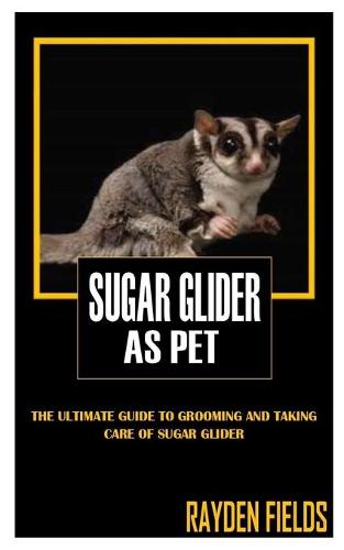 Sugar Glider as Pet