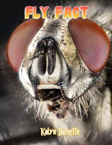 Fly Fact