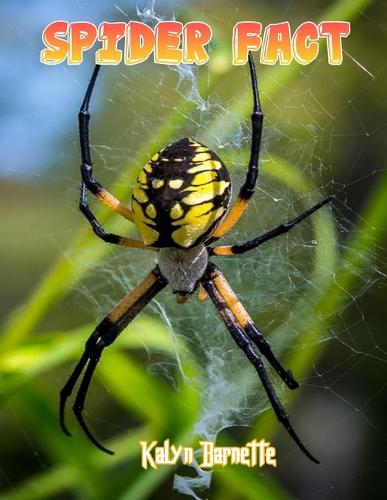 Spider Fact