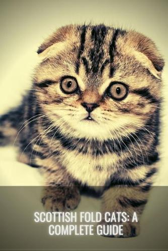 Scottish Fold Cats