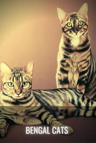 Bengal Cats