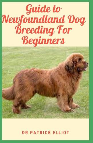 Guide to Newfoundland Dog Breeding For Beginners