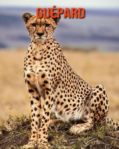 Guepard