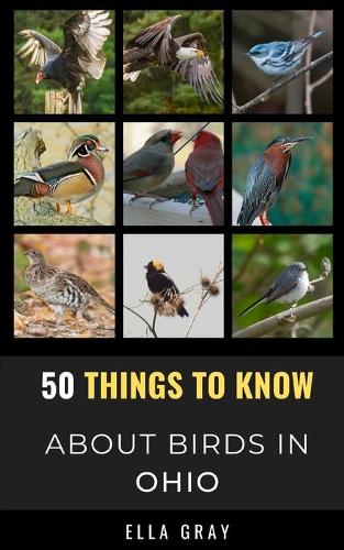 50 Things to Know About Birds in Ohio