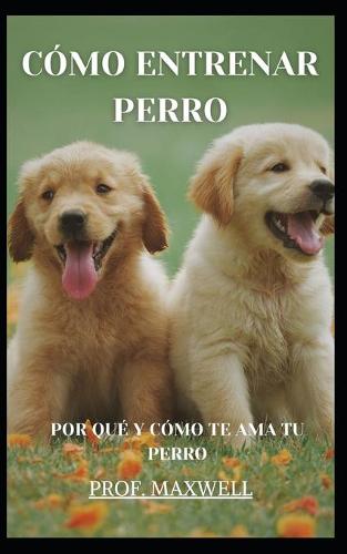 Como Entrenar Perro