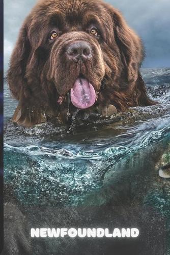 Newfoundland