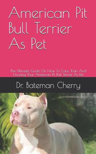 American Pit Bull Terrier As Pet