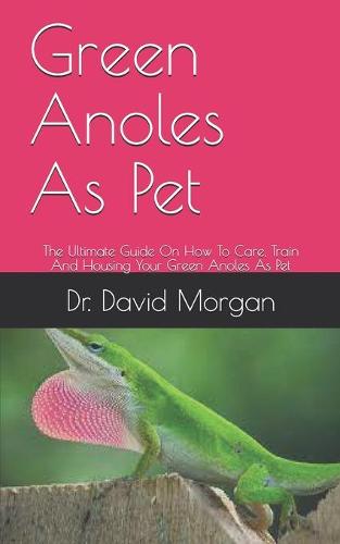 Green Anoles As Pet
