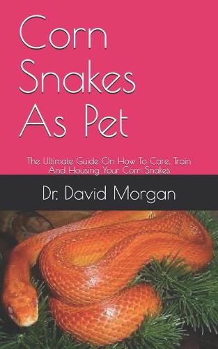 Corn Snakes As Pet
