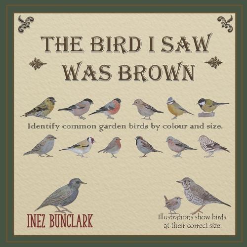 The Bird I Saw Was Brown