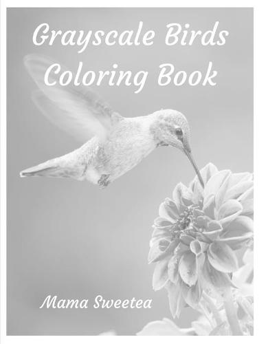 Grayscale Birds Coloring Book