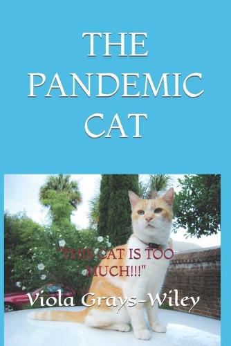 THE PANDEMIC CAT ( Academic Vocabulary Grades 2-4)