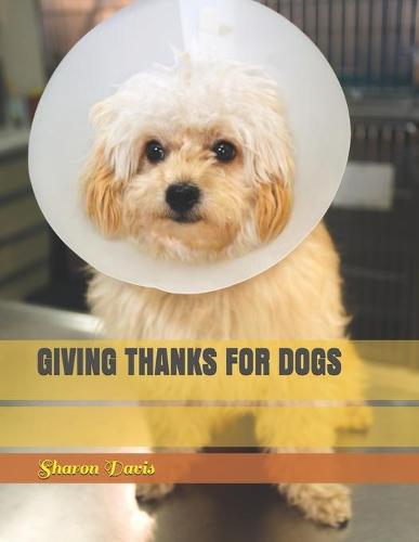 Giving Thanks for Dogs