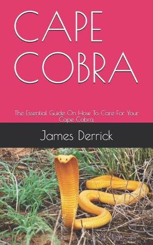 Cape Cobra
