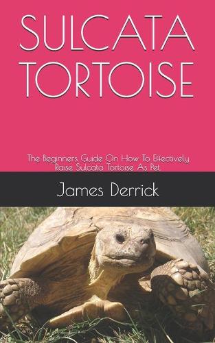 Sulcata Tortoise