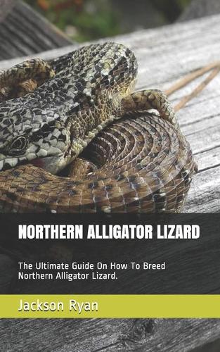 Northern Alligator Lizard