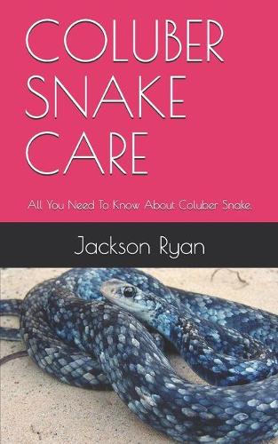 Coluber Snake Care