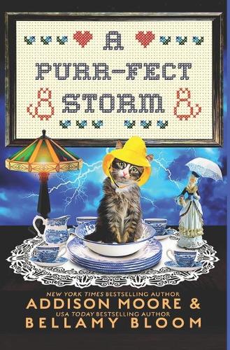 A Purr-fect Storm