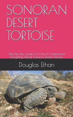 Sonoran Desert Tortoise