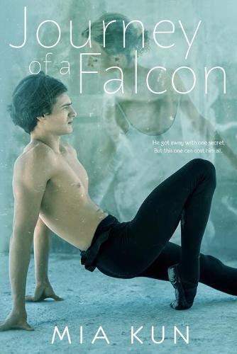 Journey of a Falcon