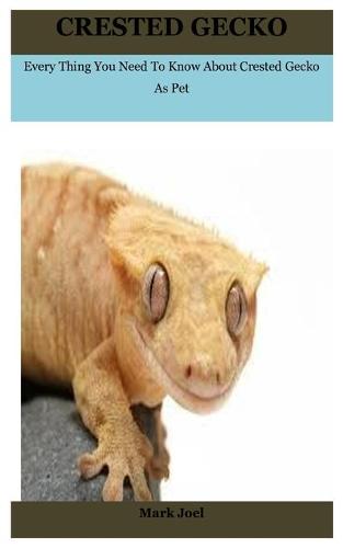 Crested Gecko