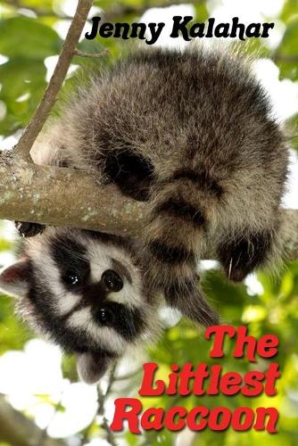 The Littlest Raccoon