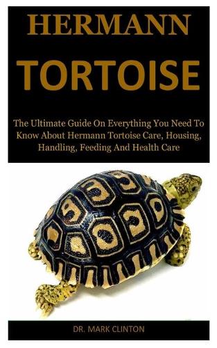 Hermann Tortoise