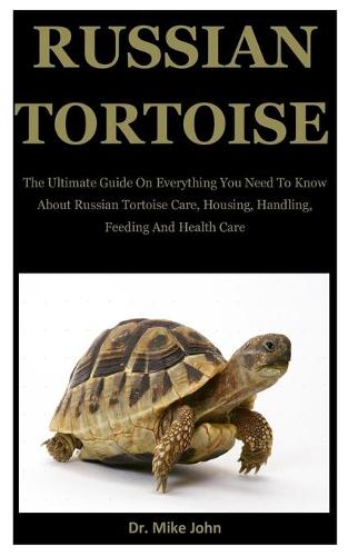 Russian Tortoise