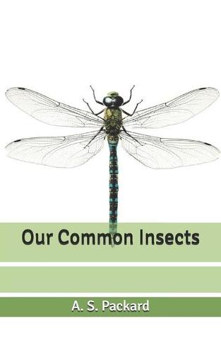 Our Common Insects
