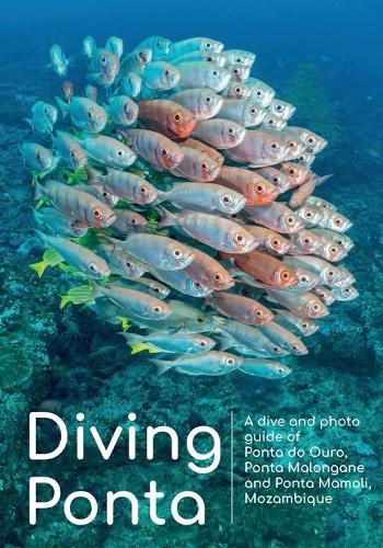 Diving Ponta