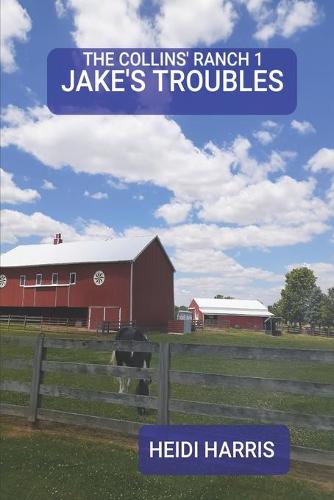 Jake's Troubles
