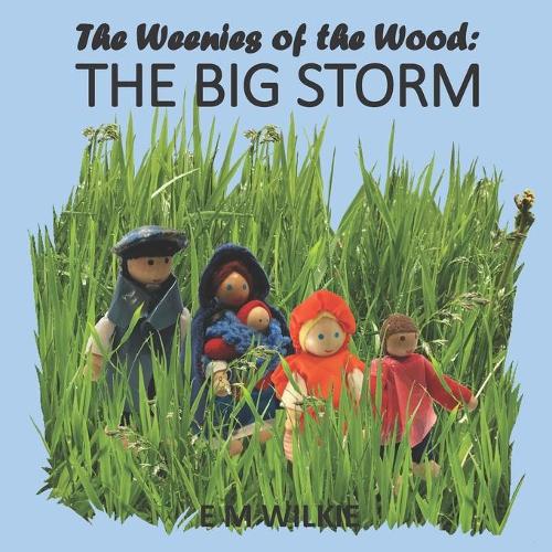The Big Storm