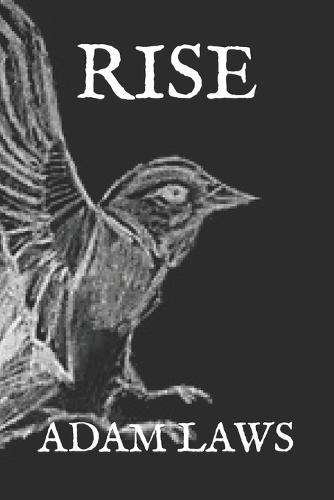 Rise