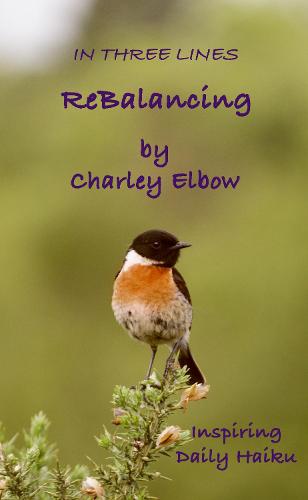 ReBalancing