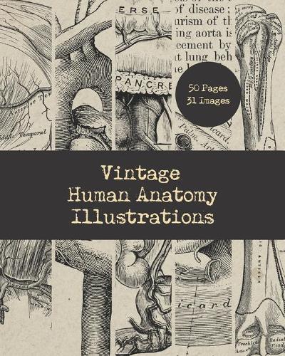 Vintage Human Anatomy Illustrations