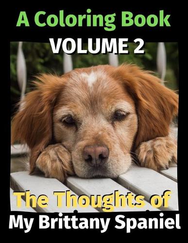 The Thoughts of My Brittany Spaniel
