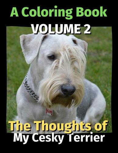 The Thoughts of My Cesky Terrier