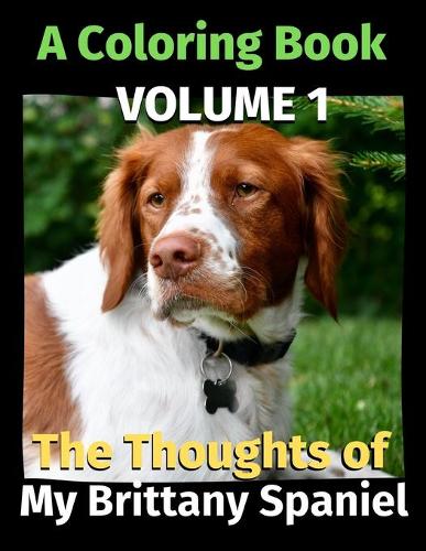 The Thoughts of My Brittany Spaniel