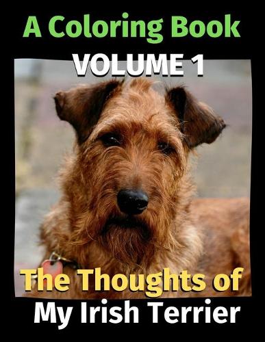The Thoughts of My Irish Terrier