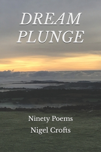 Dream Plunge
