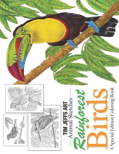 Rainforest Birds