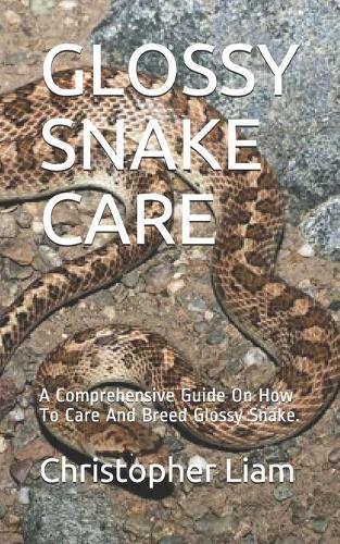 Glossy Snake Care