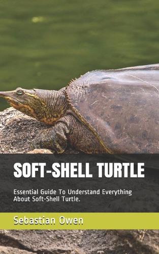 Soft-Shell Turtle
