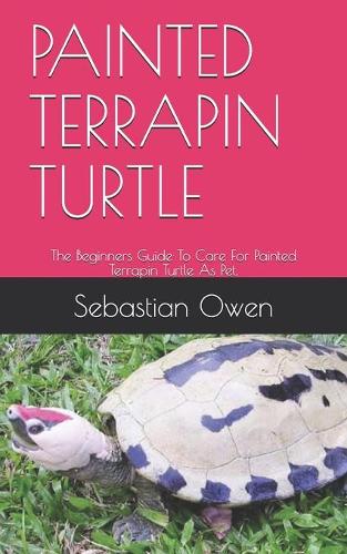Painted Terrapin Turtle