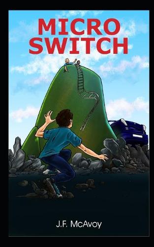 Micro Switch