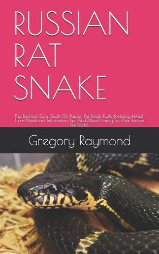 Russian Rat Snake