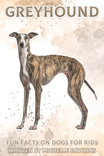 Greyhound