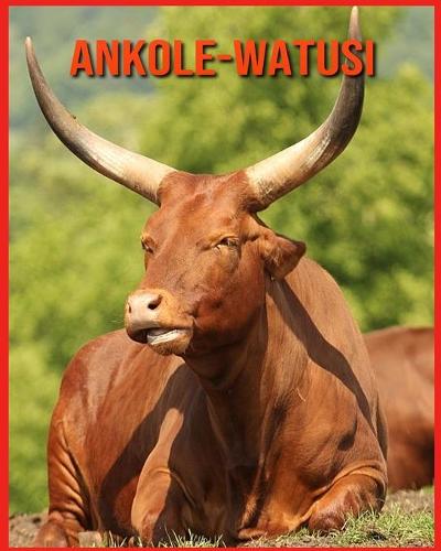 Ankole-Watusi