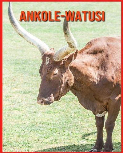 Ankole-Watusi