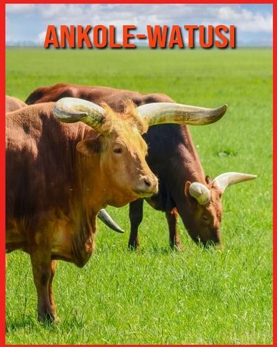 Ankole-Watusi